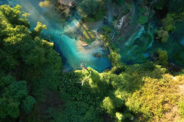Чистая Сине Зеленая Вода Горного Ручья Дубовом Сикоморском Лесу Живописный — стоковое фото