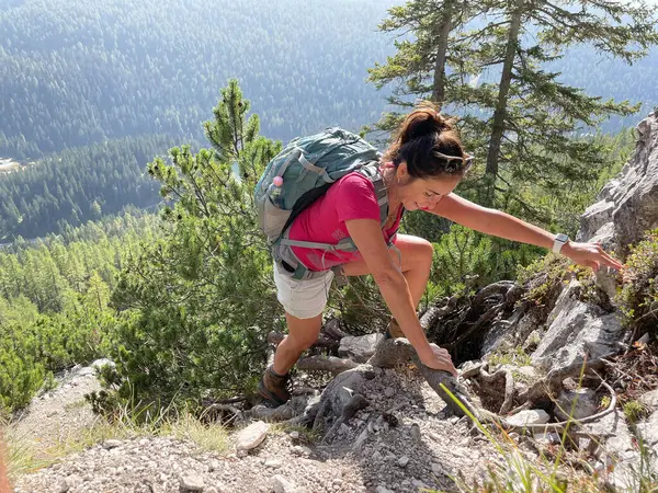 Sporty older woman on a demanding trek in the Dolomites, wearing red shirt, shorts, dark hair, backpack. Physically demanding climb, mountains and forests in the background.