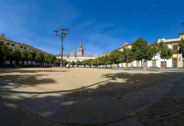 Spanya Seville Santa Cruz Mahallesindeki Portakal Ağaçlarının Güzel Meydanı — Stok fotoğraf