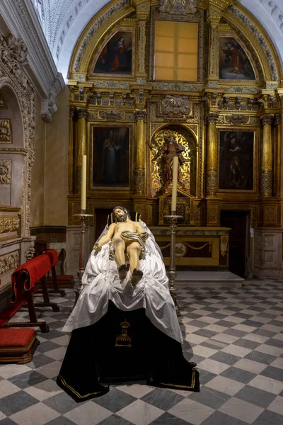 Interior Catedral Santa Igreja Salvador Zamora Espanha — Fotografia de Stock