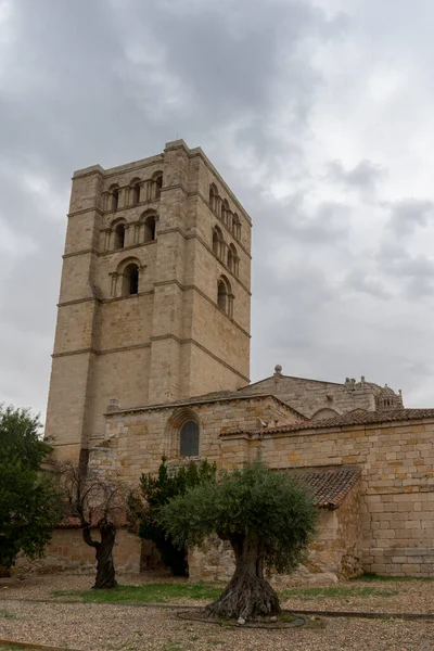 Καθεδρικός Ναός Του Σωτήρα Της Ζαμόρα Ισπανία — Φωτογραφία Αρχείου