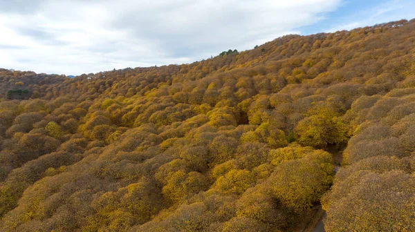 西班牙热那尔山谷铜林的鸟瞰图 — 图库照片
