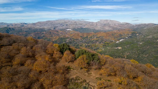 Luftaufnahme Des Kupferwaldes Genal Tal Spanien — Stockfoto