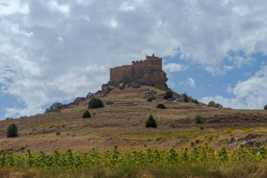İspanya 'nın Soria ilindeki Gormaz halife kalesinin manzarası