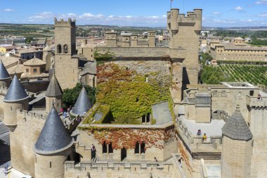 İspanya, Navarre 'deki Olite Kraliyet Sarayı