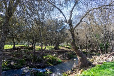 Seville ilinin San Nicols del Puerto belediyesine bağlı nehir yolu del huznar 'dır..