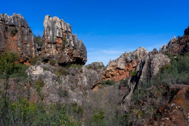 Cerro del Hierro 'nun Sierra Norte de Sevilla doğal parkındaki görüntüsü, İspanya