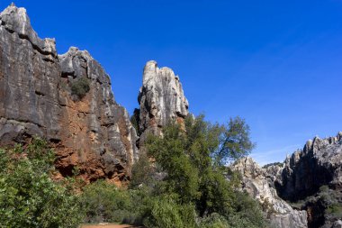 Cerro del Hierro 'nun Sierra Norte de Sevilla doğal parkındaki görüntüsü, İspanya