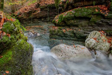 ormanda Nehri Köprüsü