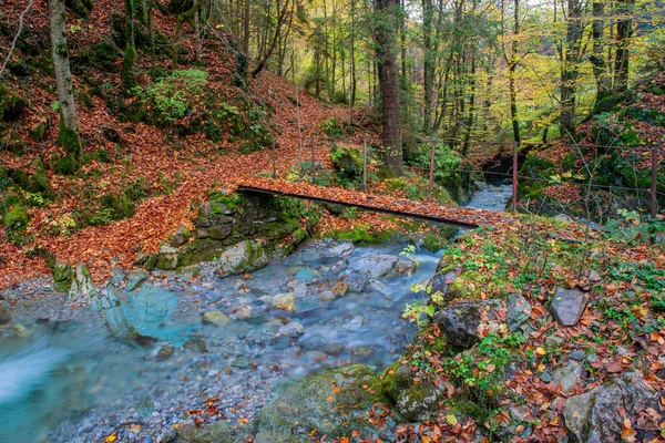 Puente Sobre Río Bosque — Foto de Stock