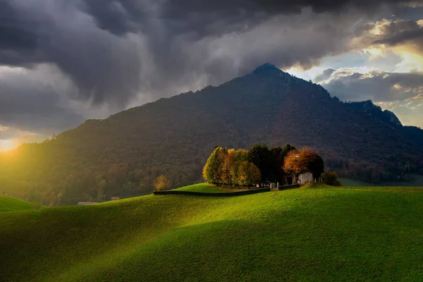 Hügel Mit Bäumen Herbst — Stockfoto
