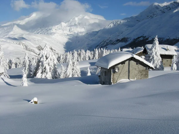 Kouzelný Krajina Husté Sněžení — Stock fotografie