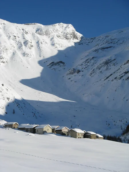 Betoverend Landschap Zware Sneeuwval — Stockfoto