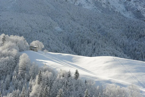 山中的小木屋被雪淹没了 — 图库照片