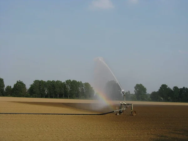 Waterstraal Voor Irrigatie Van Landbouwvelden Lombardije — Stockfoto