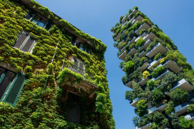 Milan İtalya 24 Haziran 2023: Bosco Verticale, Boeri Stüdyosu tarafından tasarlanan ve Milano 'nun Isola bölgesindeki iş bölgesinde yer alan iki binadan oluşan bir kompleks.