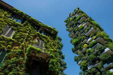 Milan İtalya 24 Haziran 2023: Bosco Verticale, Boeri Stüdyosu tarafından tasarlanan ve Milano 'nun Isola bölgesindeki iş bölgesinde yer alan iki binadan oluşan bir kompleks.