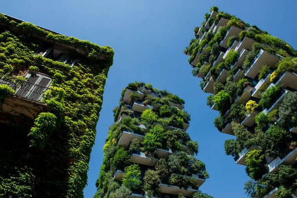 Mediolan Włochy Czerwca 2023 Bosco Verticale Kompleks Dwóch Wież Mieszkalnych — Zdjęcie stockowe