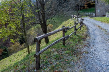 Renkli ağaçlarla dolu ormanda köy yolu