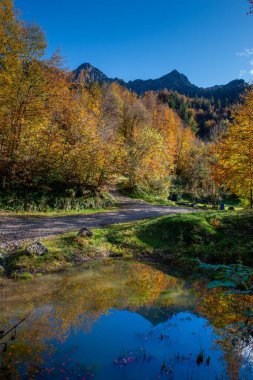 Mountain lake reflecting colorful trees clipart