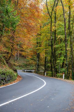 Mountain road covered with leaves in autumn clipart