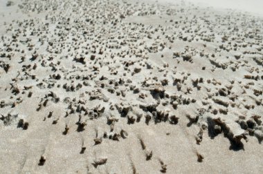 Güneşli bir günde kumsaldaki kumların fotoğrafı.