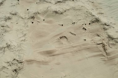 Kumsaldaki kum ayrıntıları fotoğrafı.