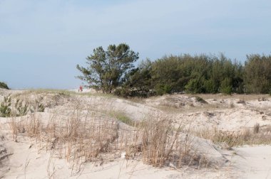 Güneşli bir günde kumsalın fotoğrafı.