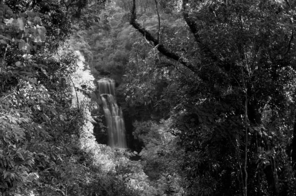 Langzeitaufnahme Eines Wasserfalls Schwarz Weiß — Stockfoto