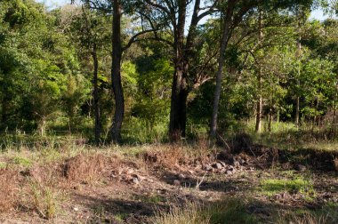Bölgenin kırsal manzara fotoğrafı