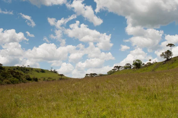 Field photography with clouds in sky