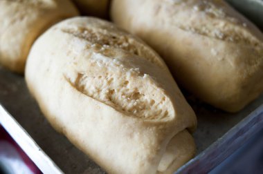 photography of bread growing shape