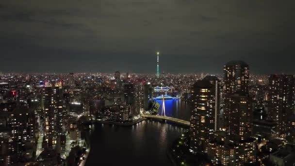 东京天树塔楼在夜间的城市景观灯火通明之上伸展 高质量的4K镜头 — 图库视频影像