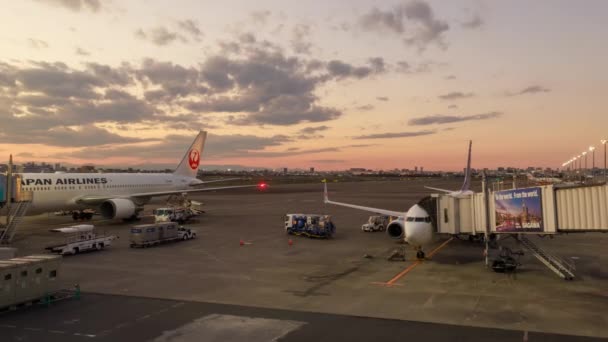 Tokio Japan November 2022 Das Flugzeug Landet Gate Während Das — Stockvideo