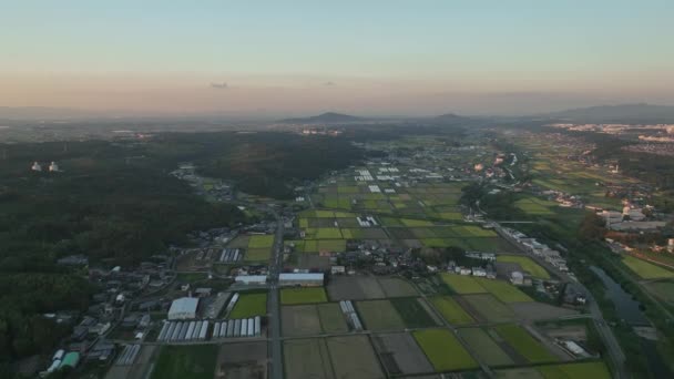 Vue Aérienne Des Terres Agricoles Des Quartiers Ruraux Avant Coucher — Video