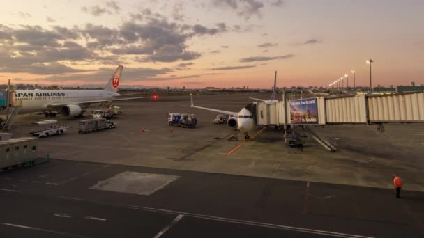 2022 하네다 공항에서 요원들 활주로에서 작업하는 비행기 출입문에 고품질 — 비디오