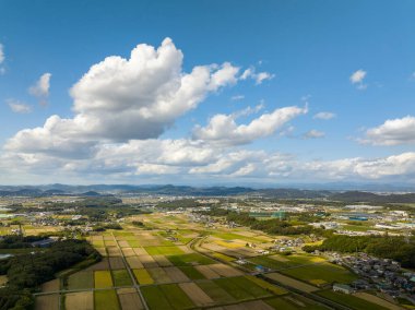 Mavi gökyüzündeki tüylü beyaz bulutlar hasattan sonra tarlalara gölge düşürüyor. Yüksek kalite fotoğraf