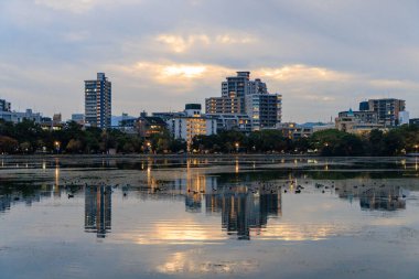 Gün batımından sonra ördek havuzunun yanında ışıkları açık olan apartmanlar. Yüksek kalite fotoğraf