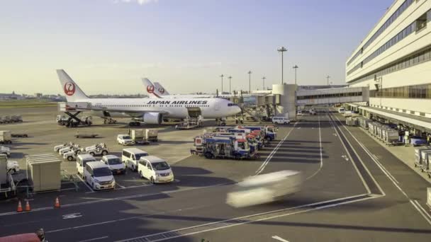2022年11月14日 忙しい空港で離陸する前にロードされる飛行機 高品質4K映像 — ストック動画