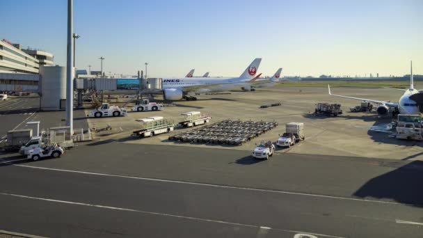 2022年11月14日 日本航空の飛行機が羽田空港に到着し出発します 高品質4K映像 — ストック動画