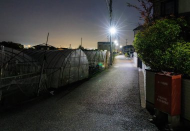 Geceleri karanlık seraların yanındaki boş yoldaki sokak lambaları. Yüksek kalite fotoğraf