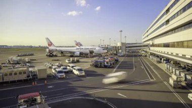 Tokyo, Japonya - 14 Kasım 2022 Yoğun havaalanından önce uçaklar yükleniyor. Yüksek kalite 4k görüntü