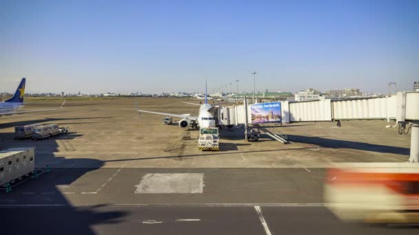 Tóquio Japão Novembro 2022 Avião Skymark Saindo Portão Movimentado Aeroporto — Vídeo de Stock