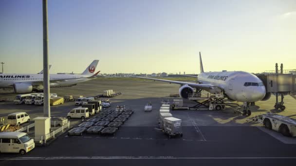2022年11月14日 忙しい空港で日本航空の飛行機荷役貨物 高品質4K映像 — ストック動画
