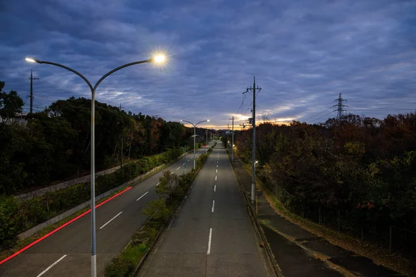 日の出の森を介して静かな道路上の車から光のストリーク 高品質の写真 — ストック写真