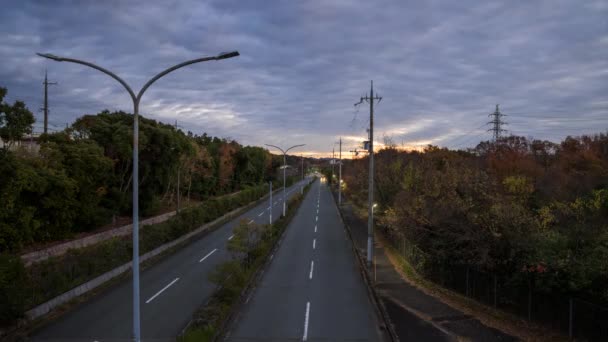 Time Lapse Cars Drive Two Lane Road Forest Sunrise High — Stock Video