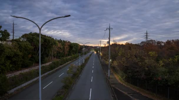 Time Lapse Cars Drive Two Lane Road Forest Sunrise High — Stock Video