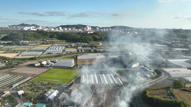 Vzdušný Pohled Kouř Stoupající Nad Venkovskou Zemědělskou Oblastí Vysoce Kvalitní — Stock video