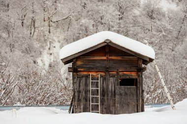 Merdivenler kırsal ahşap kulübeye yaslanıyor. Karla kaplı arazide. Yüksek kalite fotoğraf