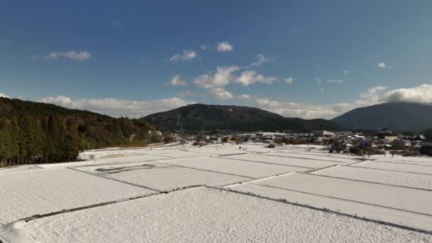 在阳光明媚的冬日 日本最大的武士战场 关原镇 白雪覆盖了稻田 高质量的4K镜头 — 图库视频影像